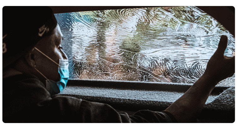 Polarizado Automotriz​